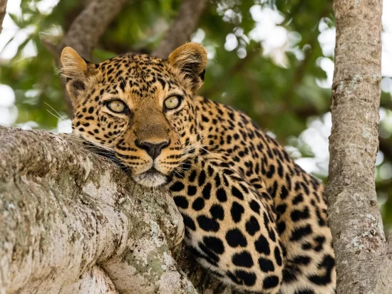 Machia Biological Park