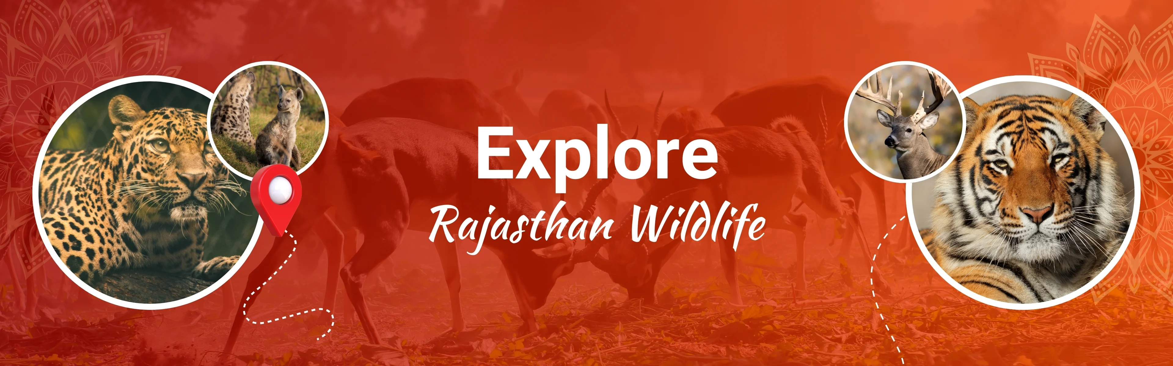 Rajasthan Wildlife Tour
